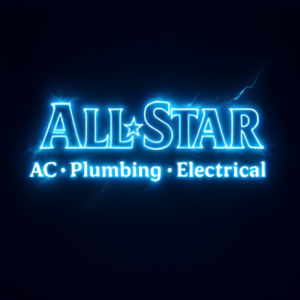 Houston Plumbing Services